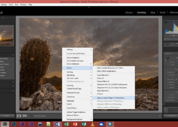 Where is Camera Raw in Lightroom?