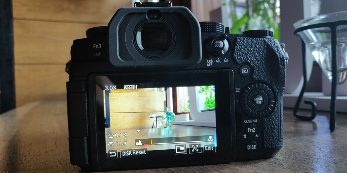 Which Lumix do I have?