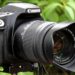 Which is the best Canon camera?