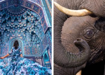 Who is the best photographer in the world?