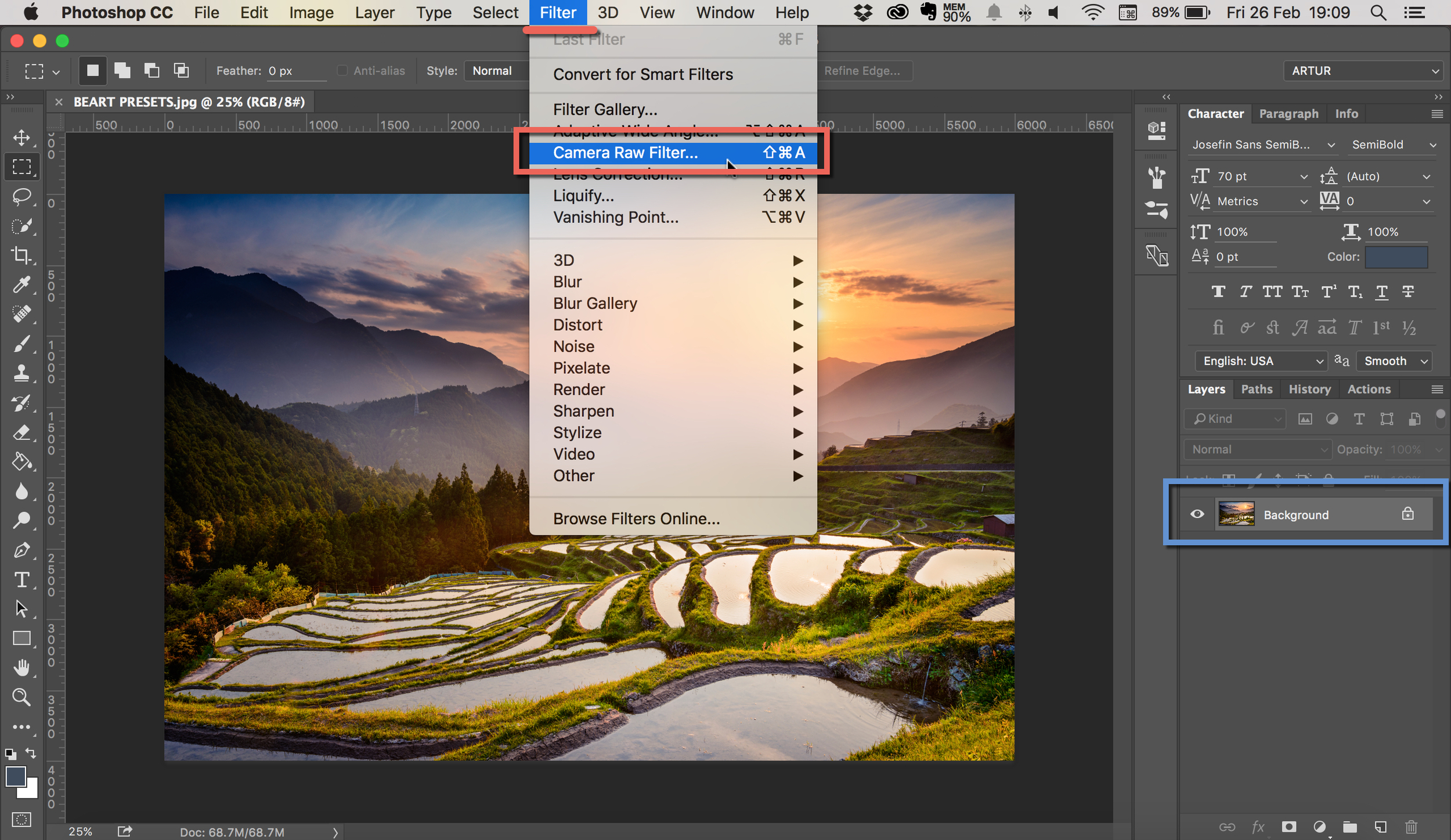 Filters view. Photoshop фильтр камера Raw. Фильтр Camera Raw для фотошопа cs6. Камера рав для фотошопа 2022. Камера Raw в фотошопе.