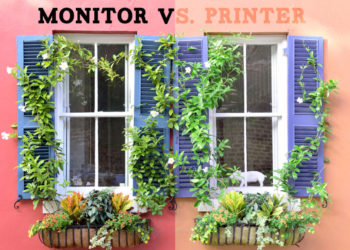 Why do my photos get cropped when printing?