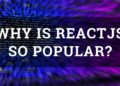 Why is 70-200 so popular?
