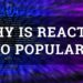 Why is 70-200 so popular?