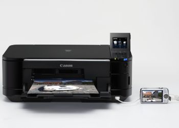 Why is my Canon printer not taking paper?